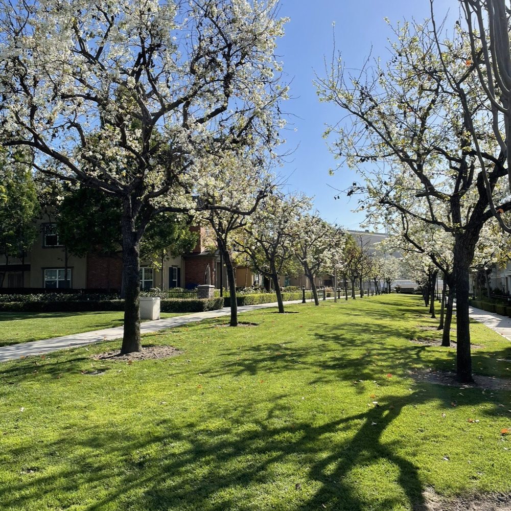 arlington park neighborhood