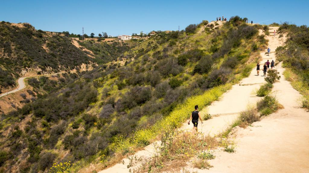 runyon-canyon-hiking
