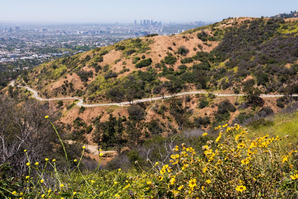 runyon-canyon-park
