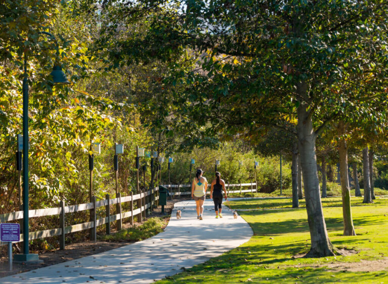 walking in playa vista